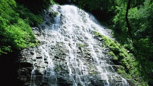 智能可靠性